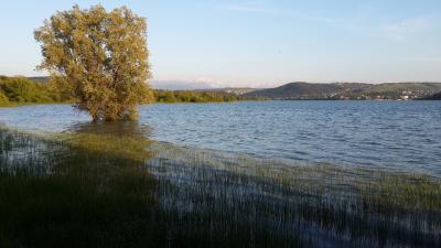 Прикрепленное изображение: водх1.jpg